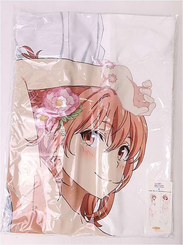 i-img600x800-175731055945426ib7xa25 - 【絵巻本舗】二次元イラストグッズ特化型買取専門店