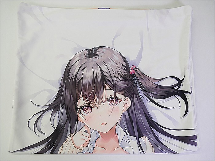 i-img700x525-173916117837jgwt35 - 【絵巻本舗】二次元イラストグッズ特化型買取専門店