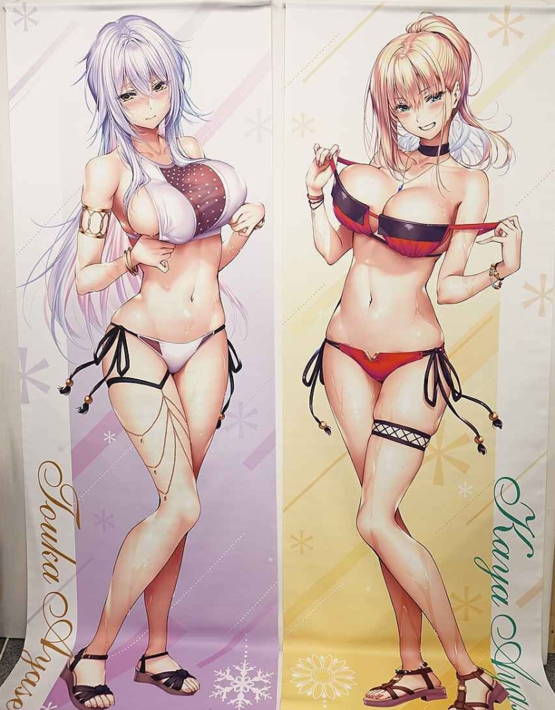 Two anime-style women in bikinis posing side by side on a banner: left with lavender hair in a white/purple bikini, right with orange hair in a red bikini.
